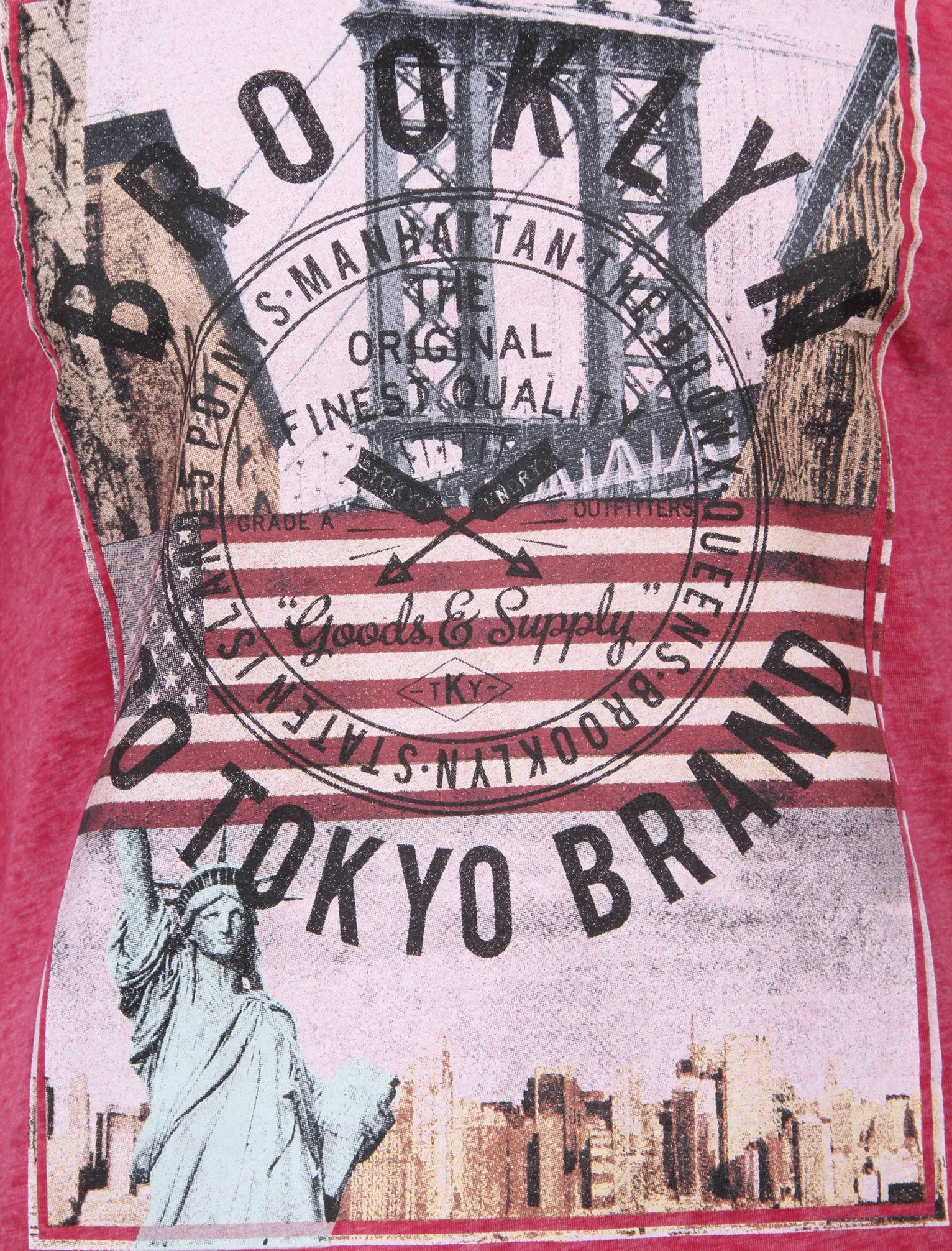 Auburn Point Burnout T-Shirt in Pink Rose - Tokyo Laundry