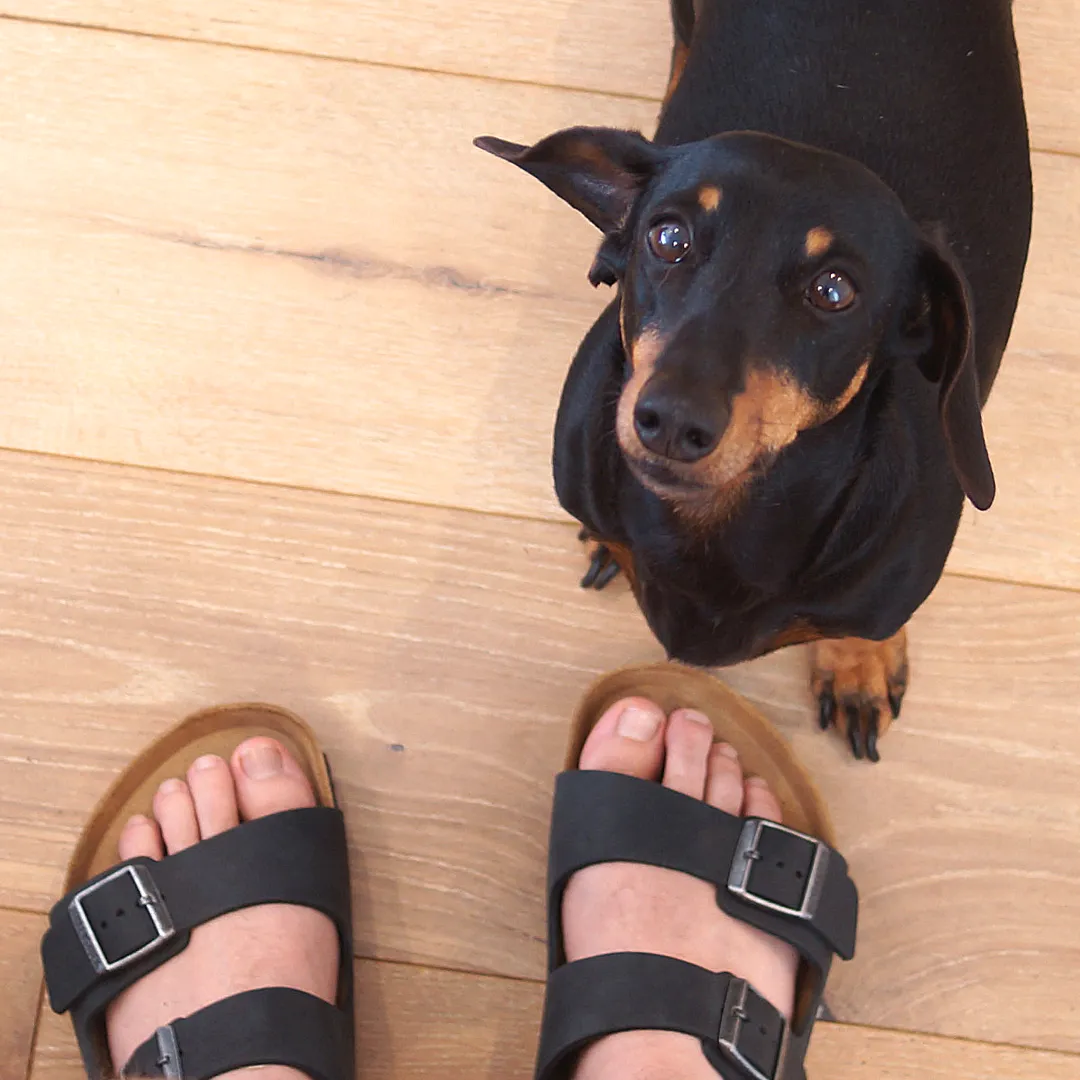 Birkenstock Arizona Oiled Leather Black (Regular)