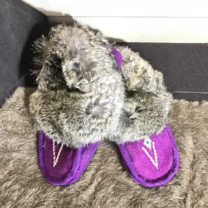 Moccasins Purple with White Beadwork