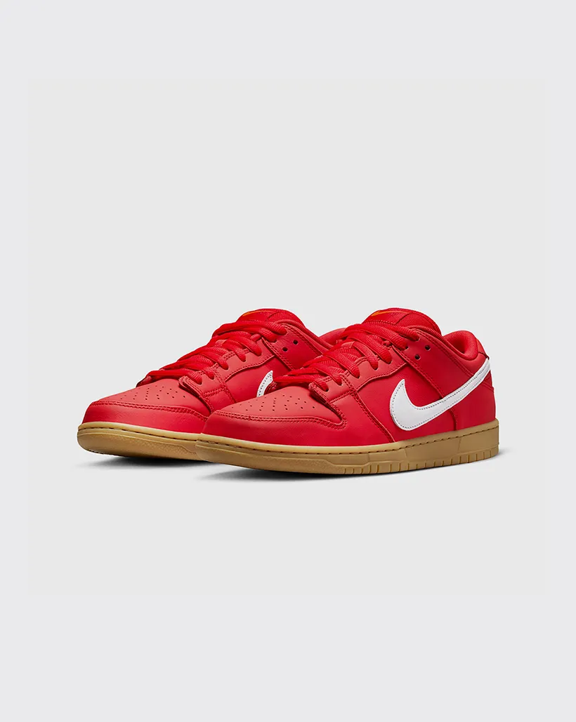 Nike SB Dunk Low Pro Shoe