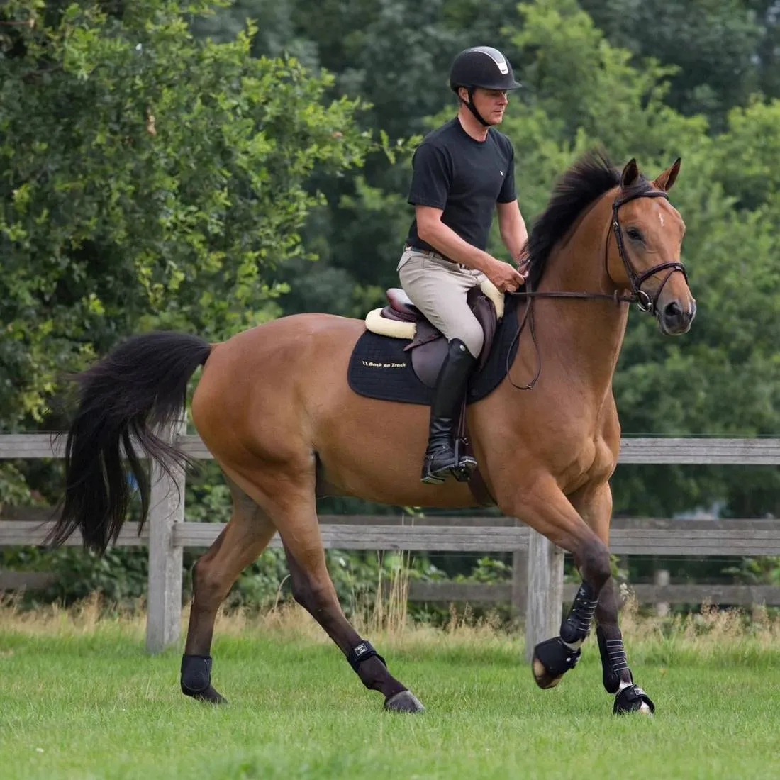 Royal Dressage Hind Boots